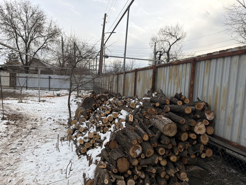 Продам дрова самовывоз