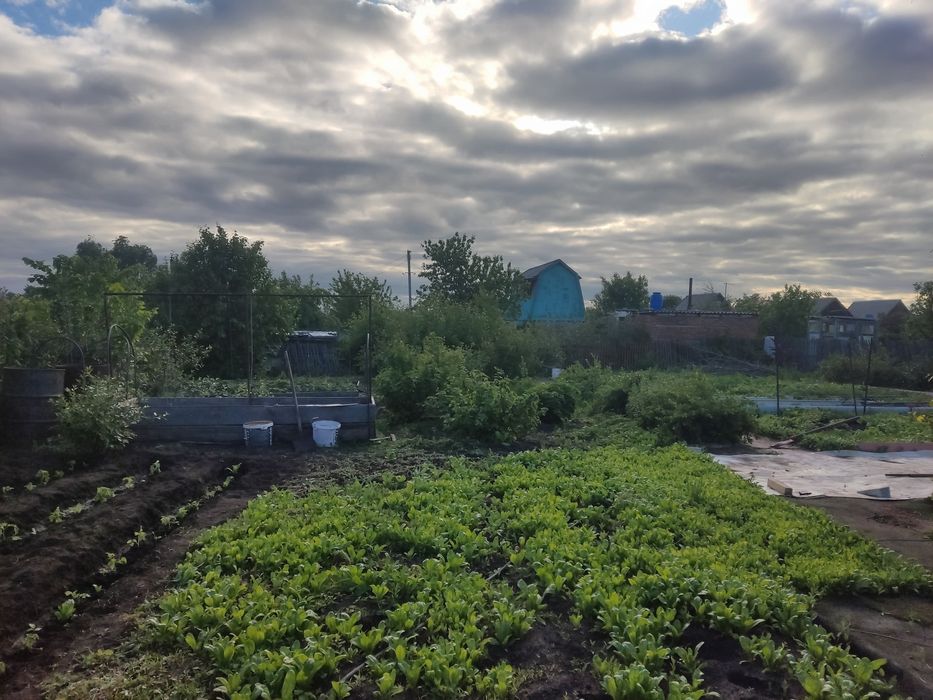 Дачный участок,  6.5 соток