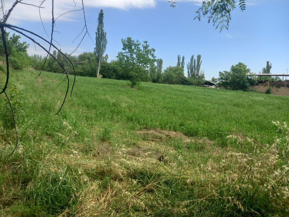 Участок. Учаска. Дача. ЯНГИБАЗАР-ЖУМАБАЗАР