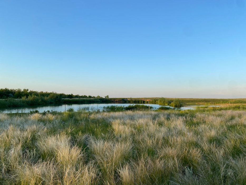 Продам крестьянское хозяйство