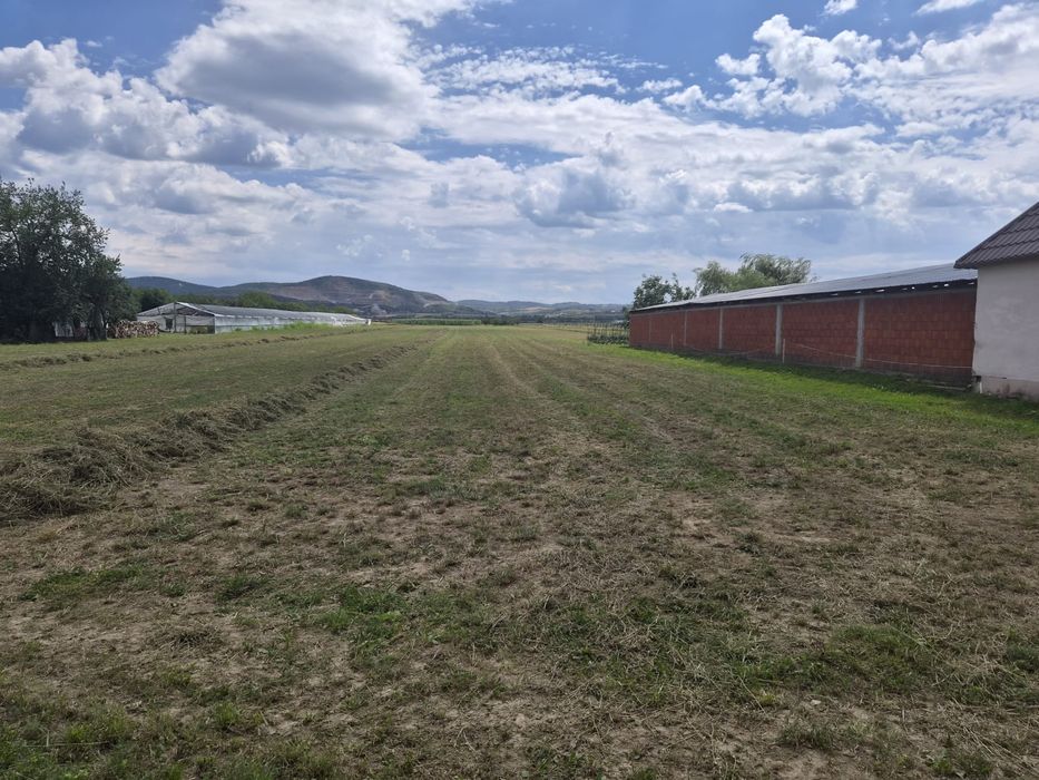 Vand teren intravilan, Tetchea, Bihor