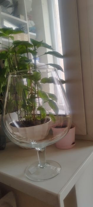 Аквариум 5 литров комплект