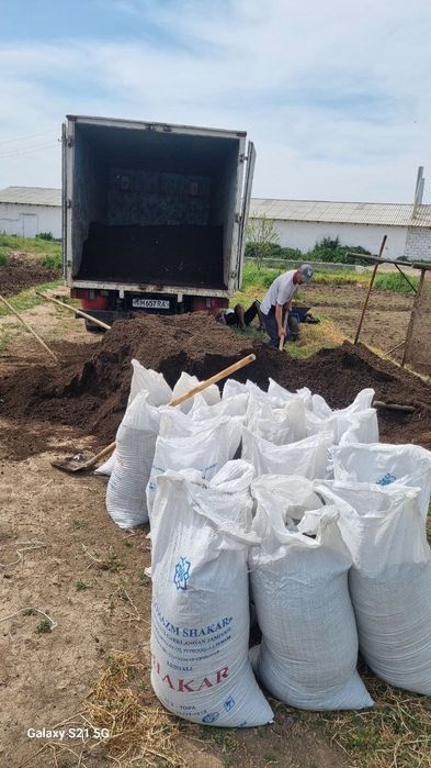 BIOGUMUS SOTILADI
Kaliforniya chuvalchangidan olingan biogumus ern