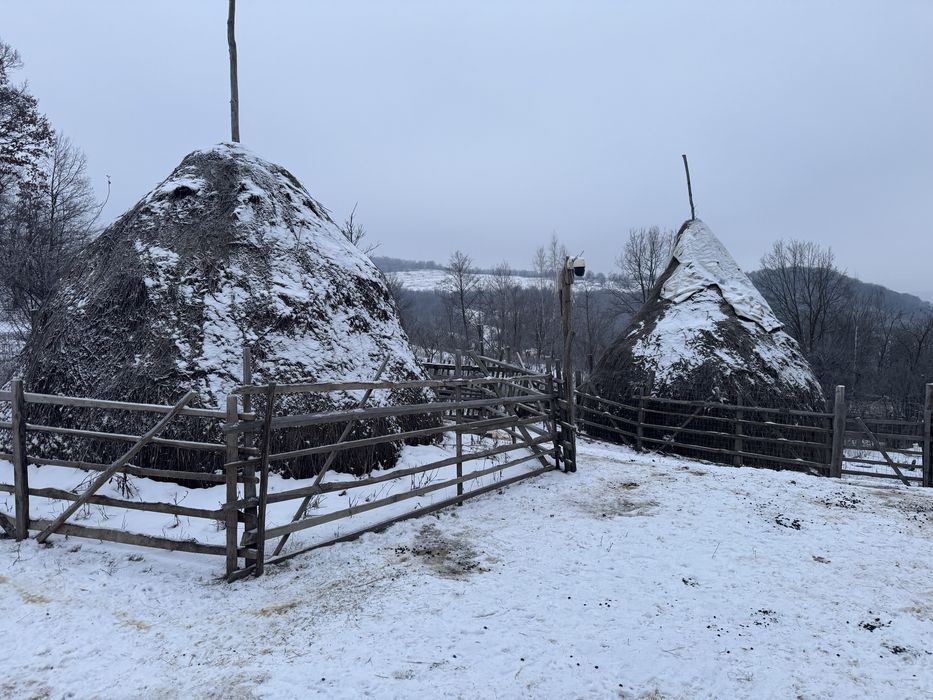 Baloti si fân calitate foarte bună