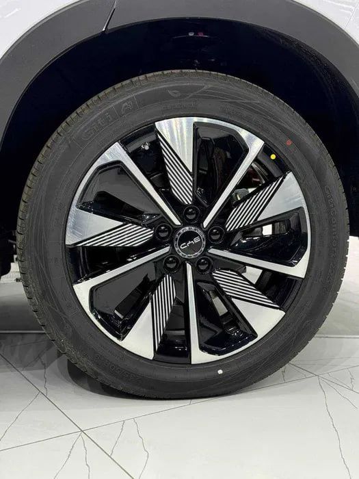 BYD Champion Hybrid 150km