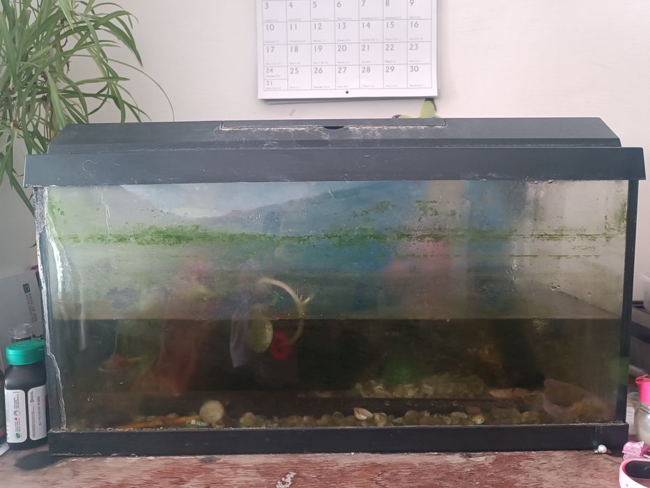 Продавам оборудван аквариум 60литра