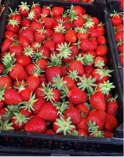 Продавам расат ягоди и малини