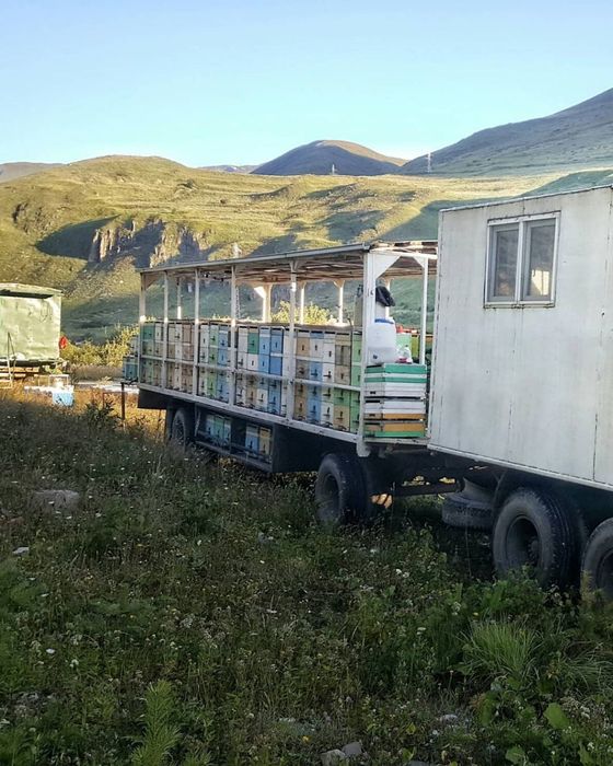 Натуральный горный мёд со своей пасеки