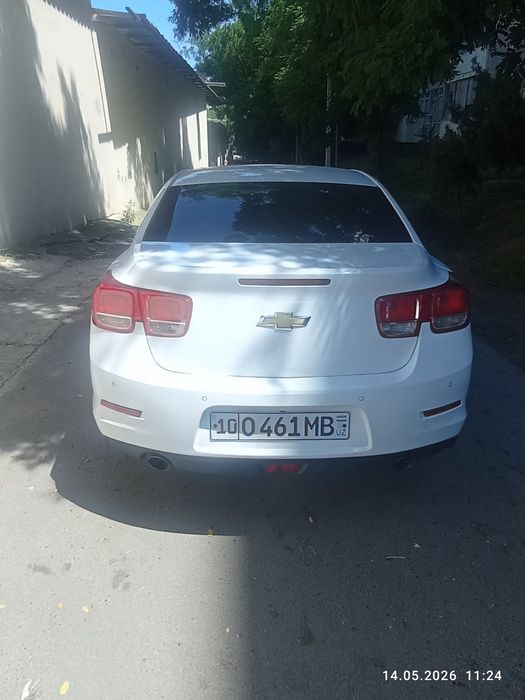 Malibu1 zor xolada