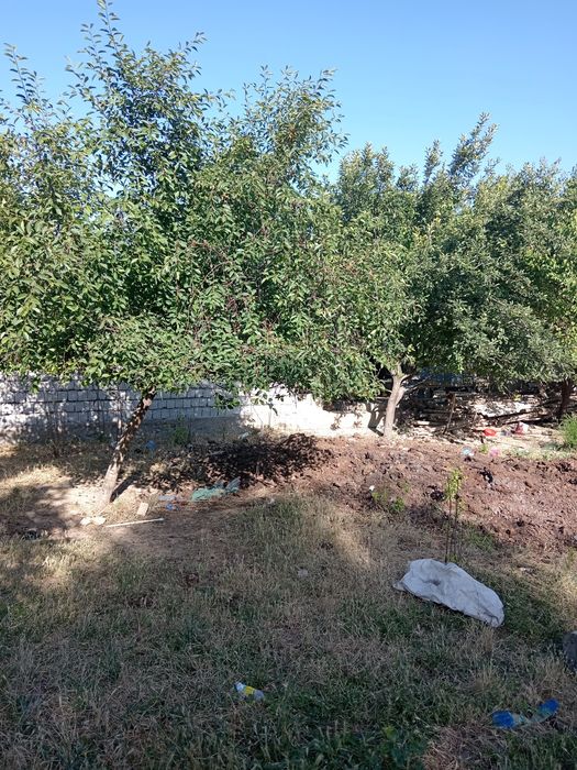 Уч кахрамон Кибрай район мехнат беш бармок участка сотилади ховли уй й