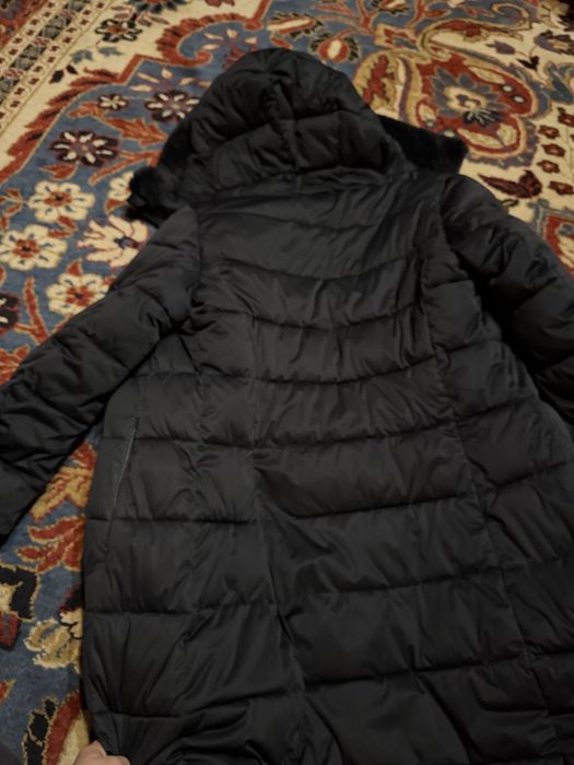 Jacheta Save the Duck originala