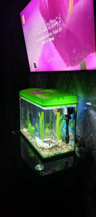 Аквариум аквариум