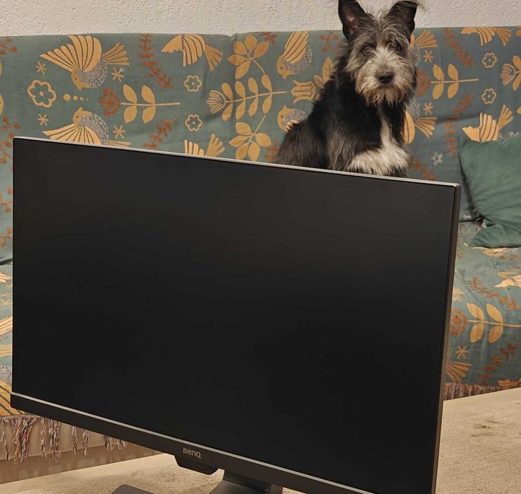Monitor 24" Benq