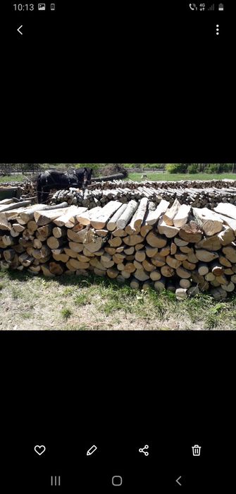 Vand lemne de foc fag si carpen