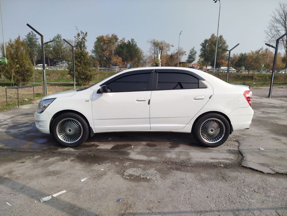 17 elegant diska srochna sotiladi