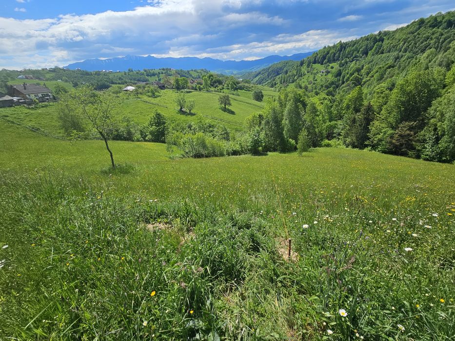 Teren  intravilan Măgura - Moieciu