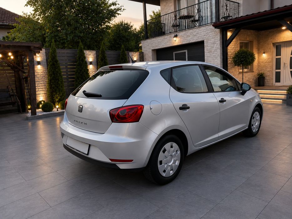 SEAT Ibiza 2013 — imagine 2