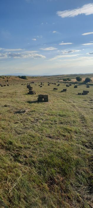 Сено горное в тюках