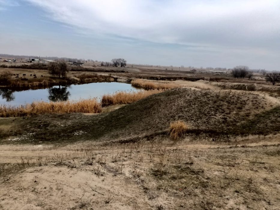 Фазенда земля отдых рыбалка