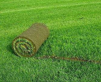 Газон, Дания оптом.³ от 40000, 45000 сўм