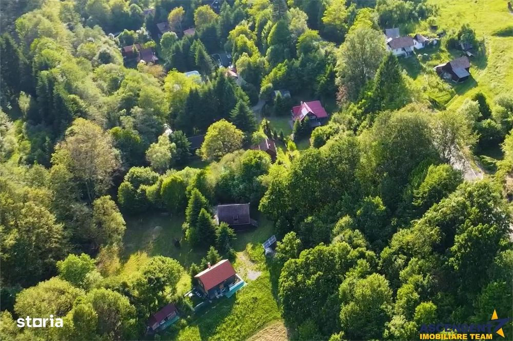 FILM!Casa Cabana+2.000 mp teren in miracolul naturii autentice,Bucin(P