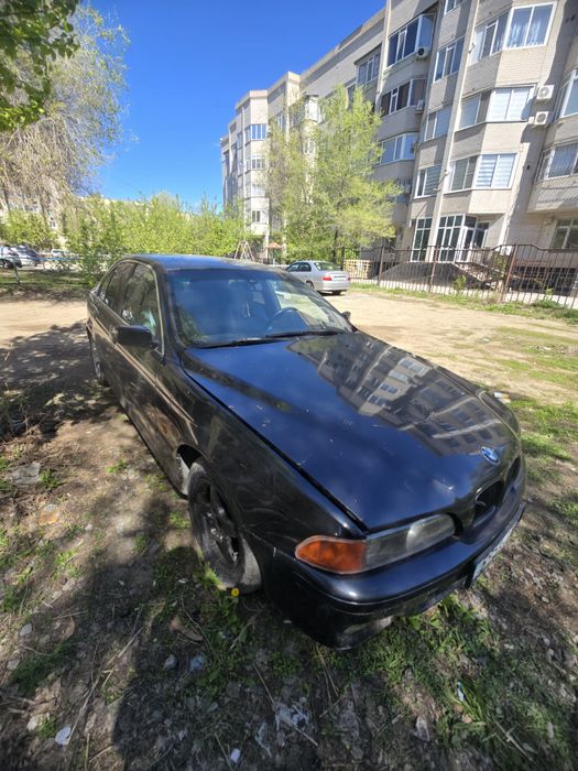 Продам BMW 5 Дельфин