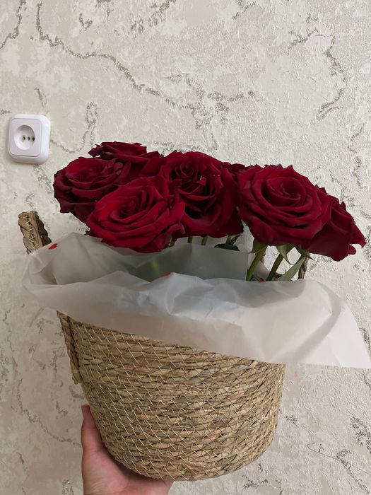 Цветы роза красная продам за 4500