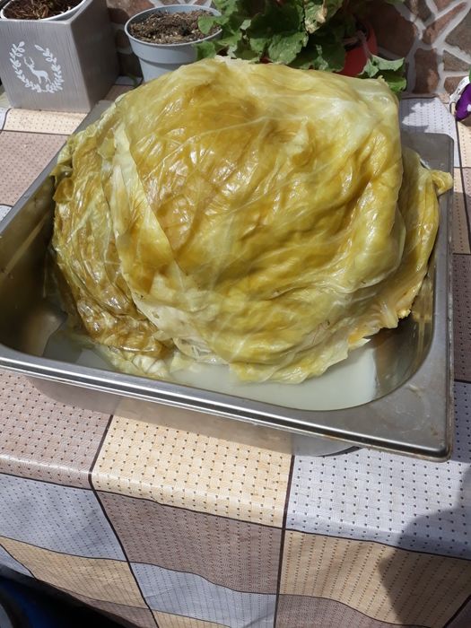 Vand varza murata 6 lei kg