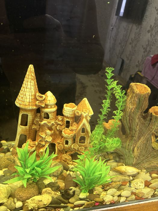 Аквариум с оборудованием