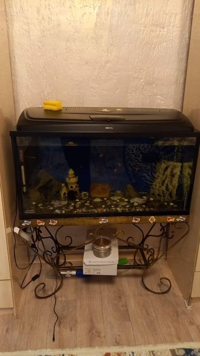 Аквариум с рыбками.