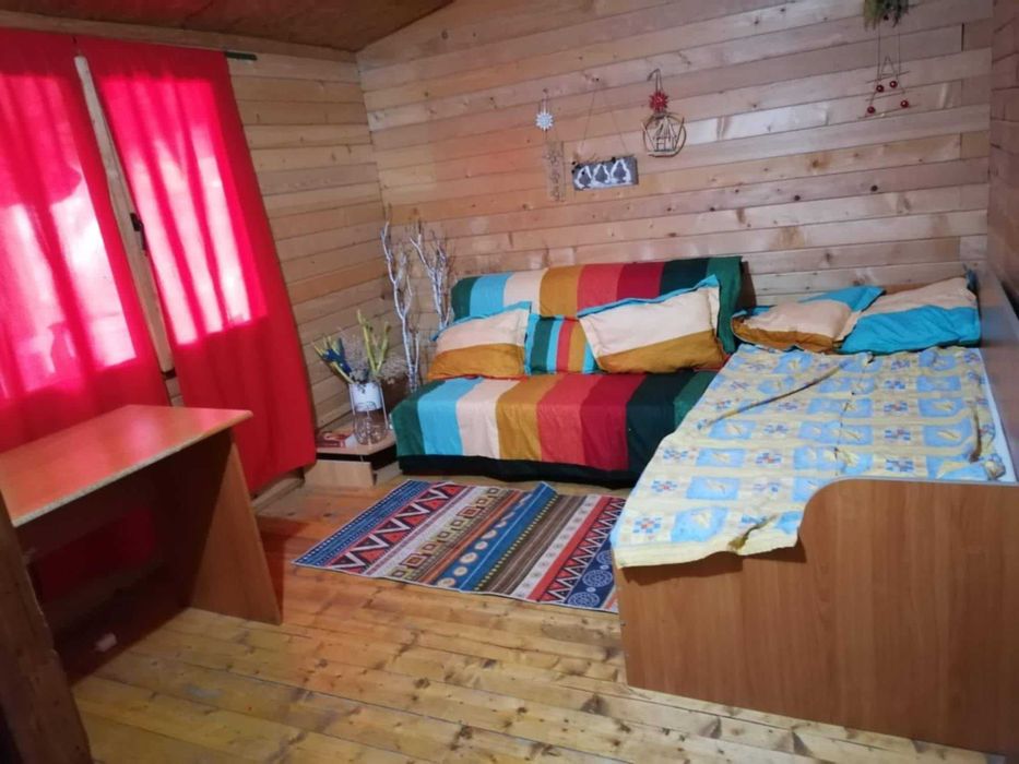 Vand casa la tara cu vedere la balta