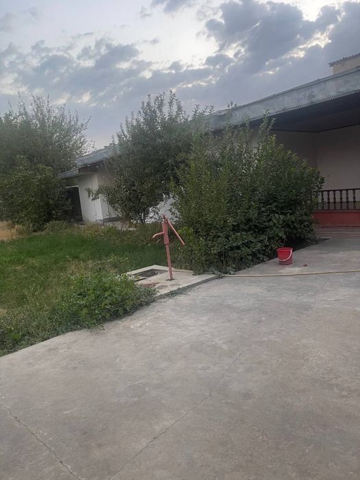 Uy sotiladi 8 sutuq  5 xonasi bor dush  hamma sharoyiti bor