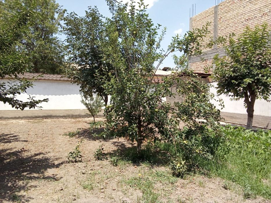 Qumariq mahallada yer sotiladi