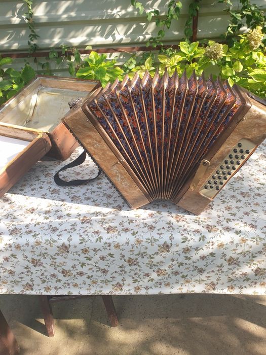 Acordeon,armonica anii '60