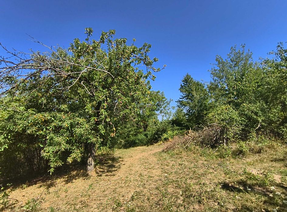 Teren 1.5 Ha în zonă de munte