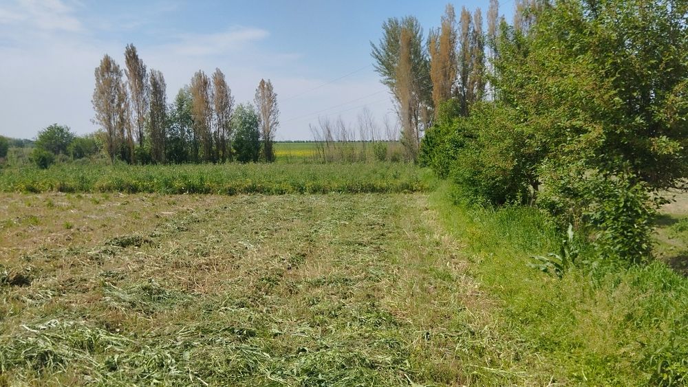 Срочно 6 сотих ер сотилади