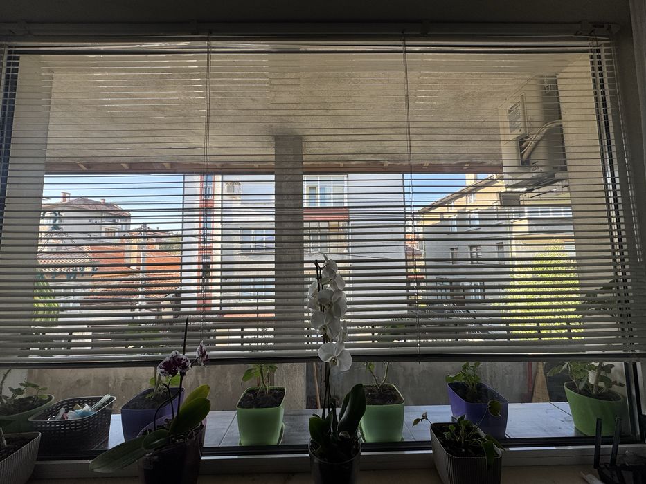 Голяма щора - запазена