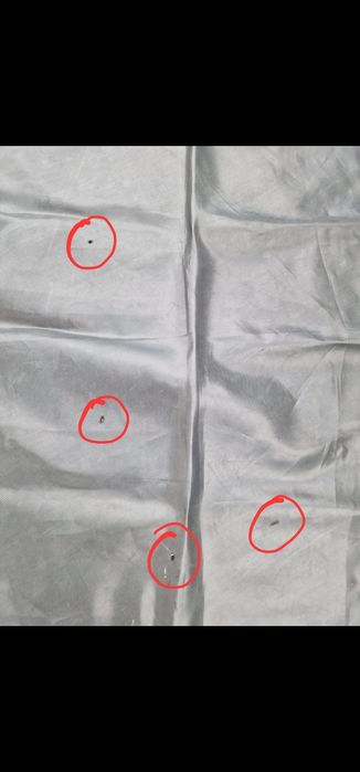 Trambulina springfree