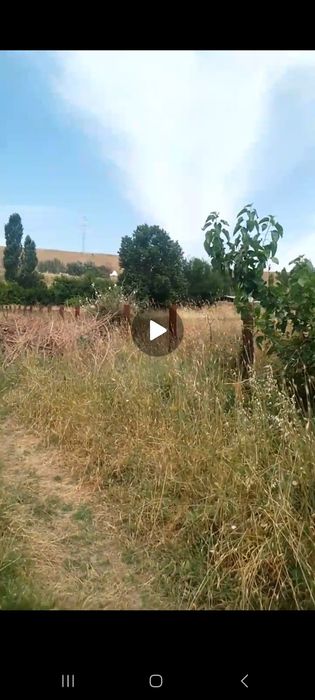 Товоксойда 1,5 гектар ер сотилади земельный участок