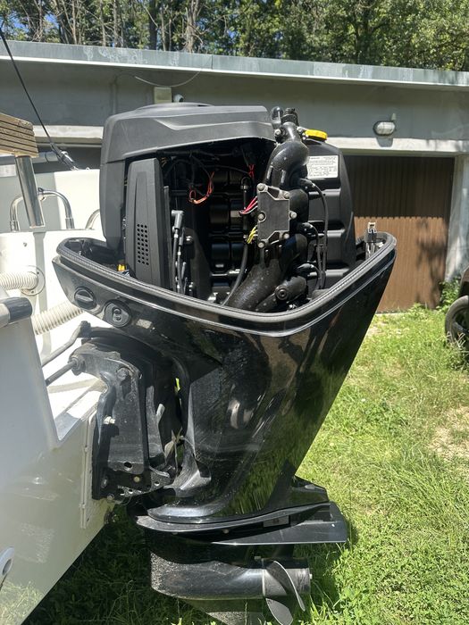mercury 100 hp din 2016