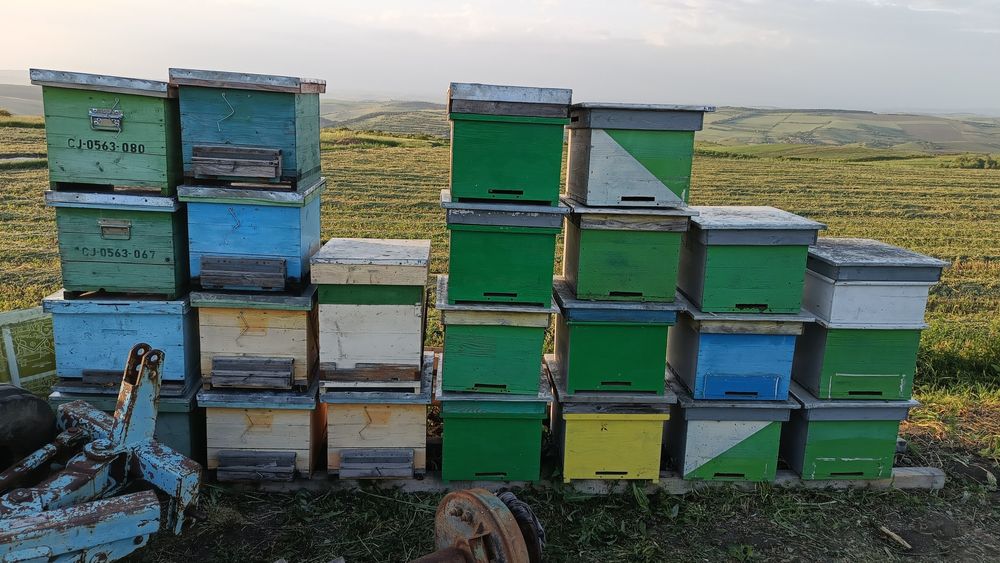 Lăzi albine, stupi, 10 rame