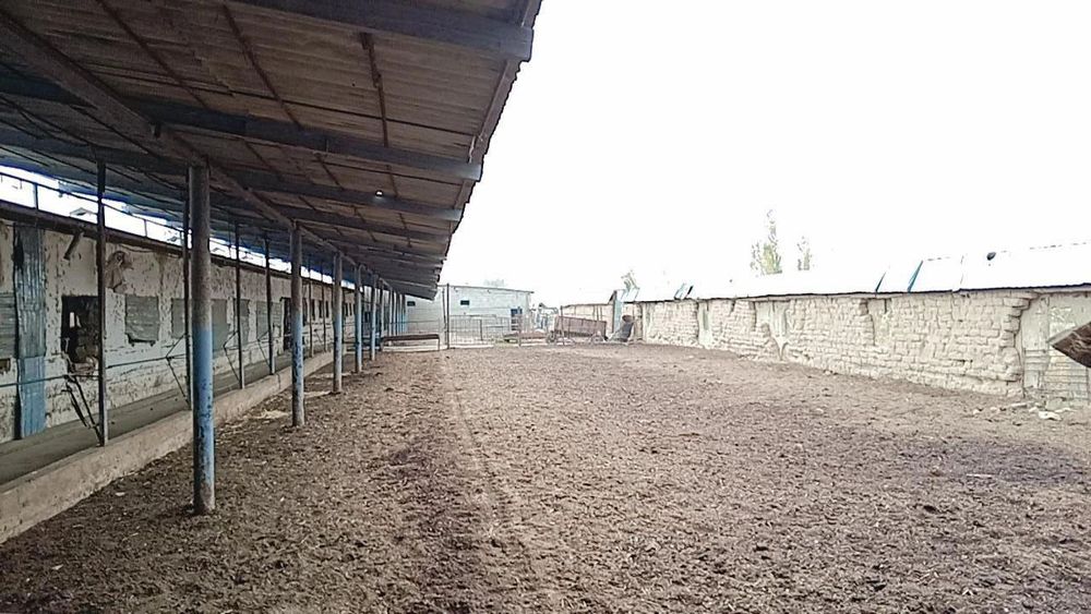 Ферма сотилади 1.27 Гектар Таёр Бизнес