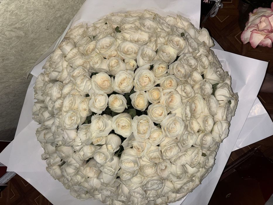 Белые розы 201 штук