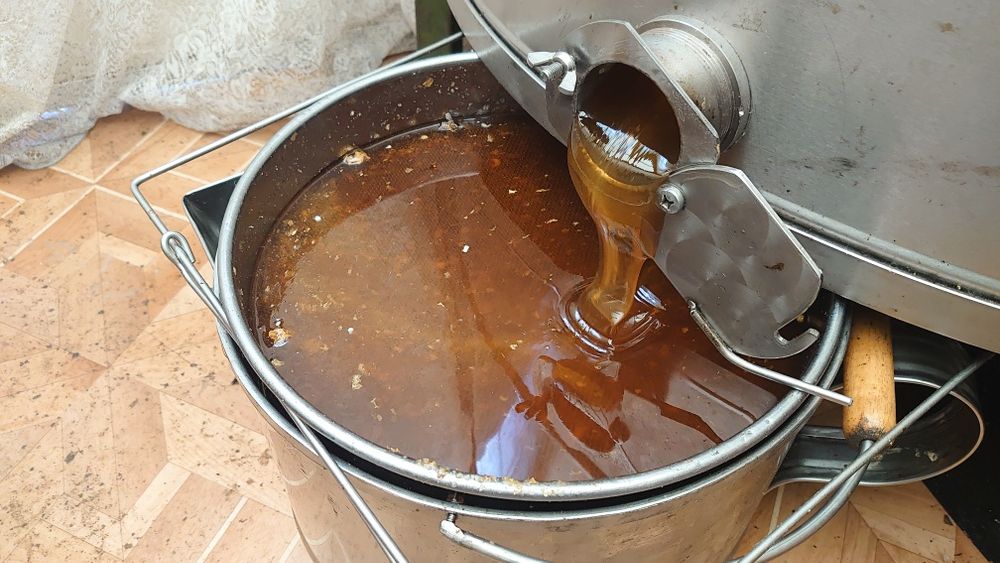 Vând miere albine bio