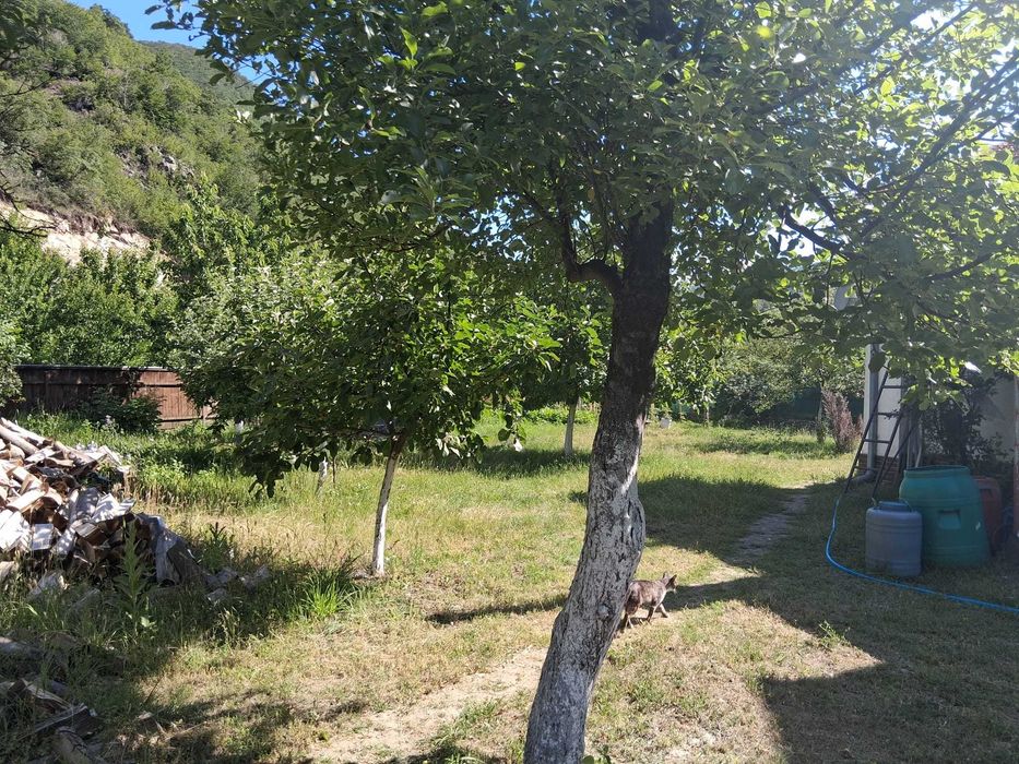 De vanzare casa de locuit sau pentru cazare in Baile Herculane