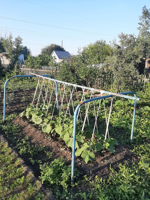 Продам дачу срочно!