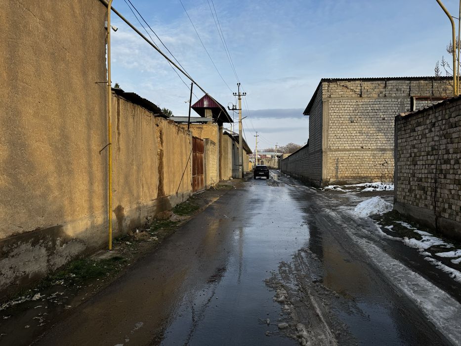 Tashgresda ferma sotiladi