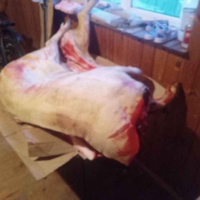 Продам мясо свинины.