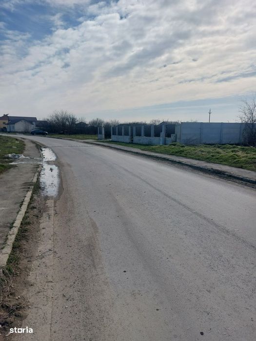 Cornetu - Crizantemelor, Stradal, 3900mp