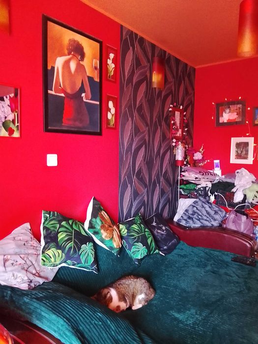 Vând apartament cu 1 camera in Floresti